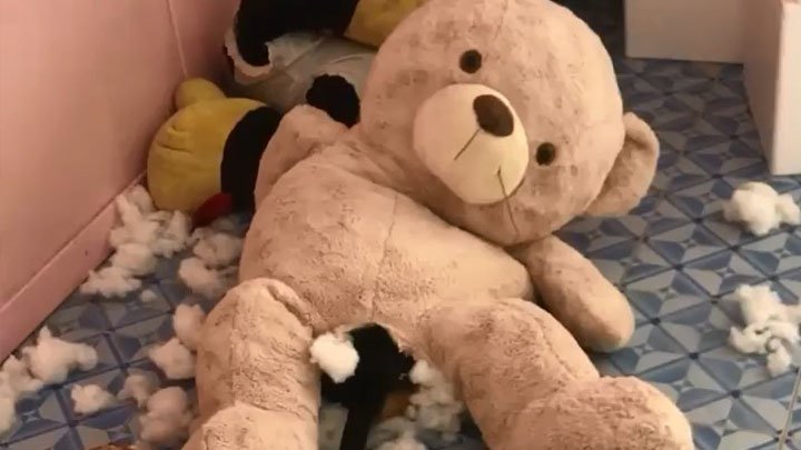 Horny humping plushie toys fan compilations