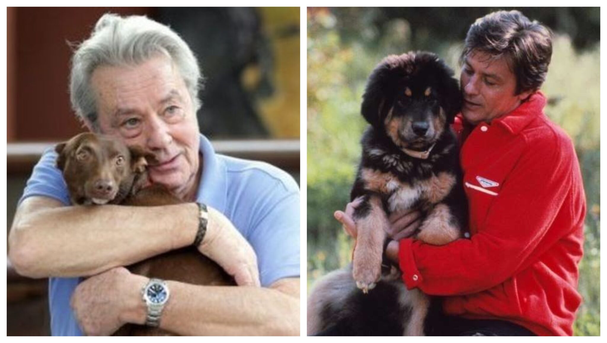 « J’adorerais être le chien d’Alain Delon » expressions d’un grand acteur Le site dédiée aux